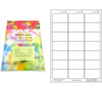 Evergreen Goods Lot De 2 100 Étiquettes Autocollantes Prédécoupées A4 En Papier Blanc Mat Imprimables 3 X 7, 21 Par Feuille: 2 100 Étiquettes Au Total, 100 Feuilles Jet D'encre Et Laser - Dos