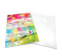 Evergreen Goods Ltd 20 Feuilles A4 Autocollants Vinyles Transparents Brillants Etiquettes | Transparent Papier autocollant imprimable par jet d'encre | Papier d'impression pour Signes et Étiquettes