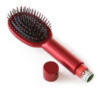 Evergreen Labs Brosse à Cheveux avec Compartiment Secret - Cache-Argent, Clés et Objets de Valeur - Tirelire Discrète pour Voyage - Coffre-Fort Caché
