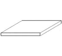 evergreen Plaque en polystyrol (L x l) 30 cm x 15 cm 0.25 mm 4 pc(s)