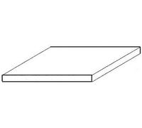 evergreen Plaque en polystyrol (L x l) 300 mm x 150 mm 0.13 mm 3 pc(s)