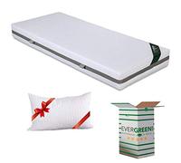 EVERGREENWEB - Matelas 120x200 cm + Oreiller GRATUIT, Mousse Ergonomique - Épaisseur 20cm - Mousse H.R - Orthopédique, Housse Blanc Rembourré Effet de Massage, Tissu Amovible Lavable et Hypoallergenic