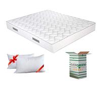 EVERGREENWEB Matelas 140x200 + 2 Oreillers GRATUIT Mousse Anatomique - Épaisseur 20 cm - Mousse H.R - Système Triple Couche - 7 Zones de Confort - Indépendance de Couchage Ergonomique Hypoallergénique