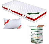 EVERGREENWEB Matelas 90x190 Mémoire de Forme avec Oreiller Gratuit, Zones Différenciées, 22 cm de Hauteur avec Housse Effet de Massage Amovible Lavable Anti Acarien, Degré de dureté 2-3 Haute Densité