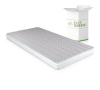 EVERGREENWEB® Matelas pliable en memoire de forme 100x190 Hauteur 14 cm pour canapé lit ou lit d'appoint, revêtement Blanc hypoallergénique, Très Respirant, certifiés Oeko-Tex, Fermeté Moyenne, DAYBED