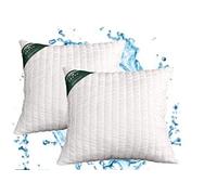 Evergreenweb - Oreillers 40x40 Lot de 2, Oreiller Ferme, Coussin, Enveloppe Doux, Garnissage Super Soft, Anti-Transpiration, Orthopédiques, Excellent pour Ceux Qui souffrent de douleurs au Cou