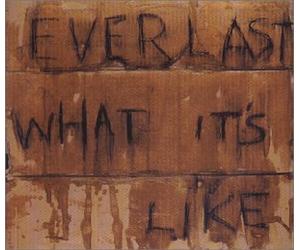 Everlast - What It's Like / 7 Years