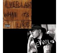 Everlast – What It's Like / Ends – Vinyle 7" Single – Import – Victrola