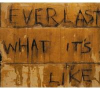 Everlast - What's It Like