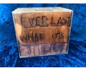 Everlast - What's It Like