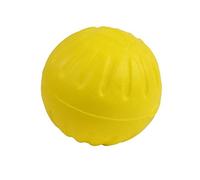 Everlasting Fantastic Durafoam Balle pour Chien Diamètre 8,5 cm Taille L
