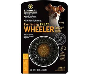 EVERLASTING Jouet pour Chien Treat Wheeler 12 X 3 X 18 cm