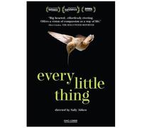 Every Little Thing [Digital Video Disc] Ac-3/Dolby Digital, Subtitled, Widescreen