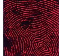 Every Man for Himself(Reissue) [Import]