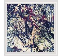 Every Pilot's Blinded by The Sun