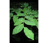 Every Version of Me Still Lives Here