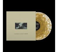 Everybody Is Going to Heaven (10th Anniversary Édition) - Vinyle Or