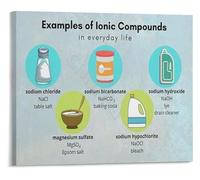 Everyday Chemistry Poster Ionic Compounds in Daily Life Educational Wall-Art to Inspire Science Learning(Framed,08x12inch(20x30cm))