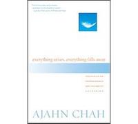 Everything Arises, Everything Falls Away Chah (Auteur)