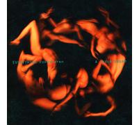 Everything Everything A Fever Dream (CD) Album