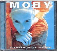 Everything Is Wrong