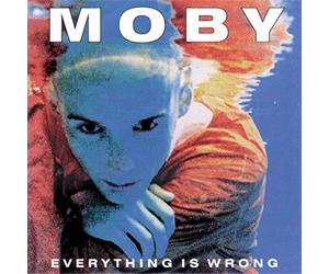 Everything Is Wrong