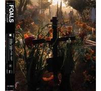 Foals - Everything Not Saved Will Be Lost Part 2) [New Vinyl LP]