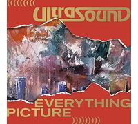 Everything Picture/Coffret 5lp Inclus 1cd/Livret 26 Pages et Poster