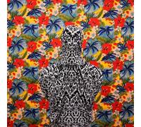 Everything S a Thread by John Steel