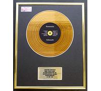 Everythingcollectible Rammstein/Mini Gold Disc Display/ÉDITION LIMITÉE/COA/SEHNSUCHT