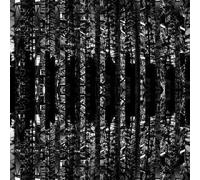 EVIAN CHRIST - DUGA 3 12 INCH (12" VINYL SINGLE) EUROPEAN TRIANGLE 2013