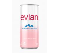 Evian Eau minérale naturelle plate - Canette slim 33 cl - Lot de 24