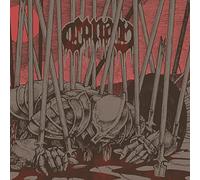 Evidence of Immortality