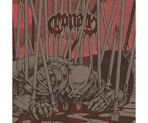 Evidence of Immortality