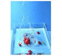 Évier transparent peu profond, Aquarium à poissons en acrylique for photographie, réservoir d'eau peu profonde, plusieurs tailles(55x55x5cm/21.6x21.6x1.96in)