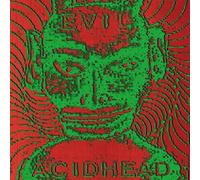Evil Acidhead - In the Name of All That Is
