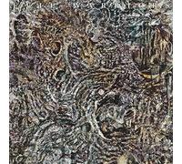 Evil Warriors - Fall from Reality (Ltd.Black Vinyl)