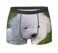 EVIUS Bichon On The Grass Boxer pour homme, sous-vêtements fantaisie amusants pour homme, slips extensibles, sous-vêtements confortables pour homme, boxers élégants et de soutien, slips ergonomiques