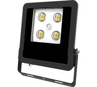 EVN EVN Lichttechnik LFE100940 Projecteur déclairage LED 10 W Couleur déclairage (ampoule LED): blanc neutre