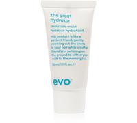 EVO Hydrate The Great Hydrator masque hydratant pour redonner de la brillance aux cheveux secs et fragiles 30 ml