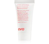 EVO Mane Attention Protein Treatment masque intense riche en protéines 30 ml