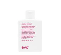 Evo Shampooing lissant pour cheveux indisciplinés et frisottis – 300 ml