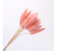 Evocation / Conducteur