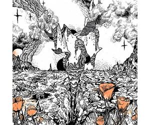 Evolfo - Last of the Acid Cowboys