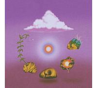 Evolfo – Site Out of Mind – CD