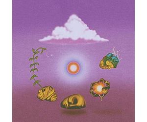 EVOLFO - SITE OUT OF MIND - Vinyl Record lp - G3z