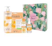 EVOLUDERM - Coffret Visage 100% Vitamine C - 1 Crème Visage + 1 Gel Nettoyant Éclat + 1 Masque Tissu + 1 Sérum (Jungle)