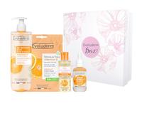 EVOLUDERM - Coffret Visage 100% Vitamine C - 1 Crème Visage + 1 Gel Nettoyant Éclat + 1 Masque Tissu + 1 Sérum (Flower)