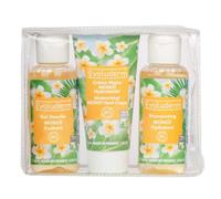 EVOLUDERM - Coffret Visage 3 produits - Eau Micellaire 100ml + Sérum 30ml + Soin de Jour 50ml - Ingrédients d'Origine Naturelle - Végan - Fabriqué en France