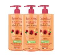 EVOLUDERM - Shampoing Fortifiant Huile de Ricin - 1000ml - 96% d'Ingrédients d'Origine Naturelle - Lot de 3 x 1000ml